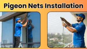 Pigeon Nets Installation