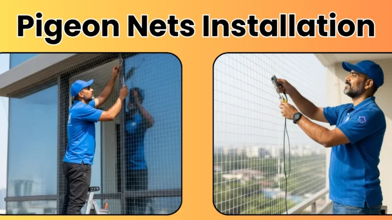 Pigeon Nets Installation