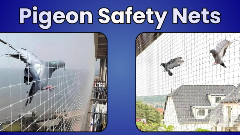 Pigeon Safety Nets