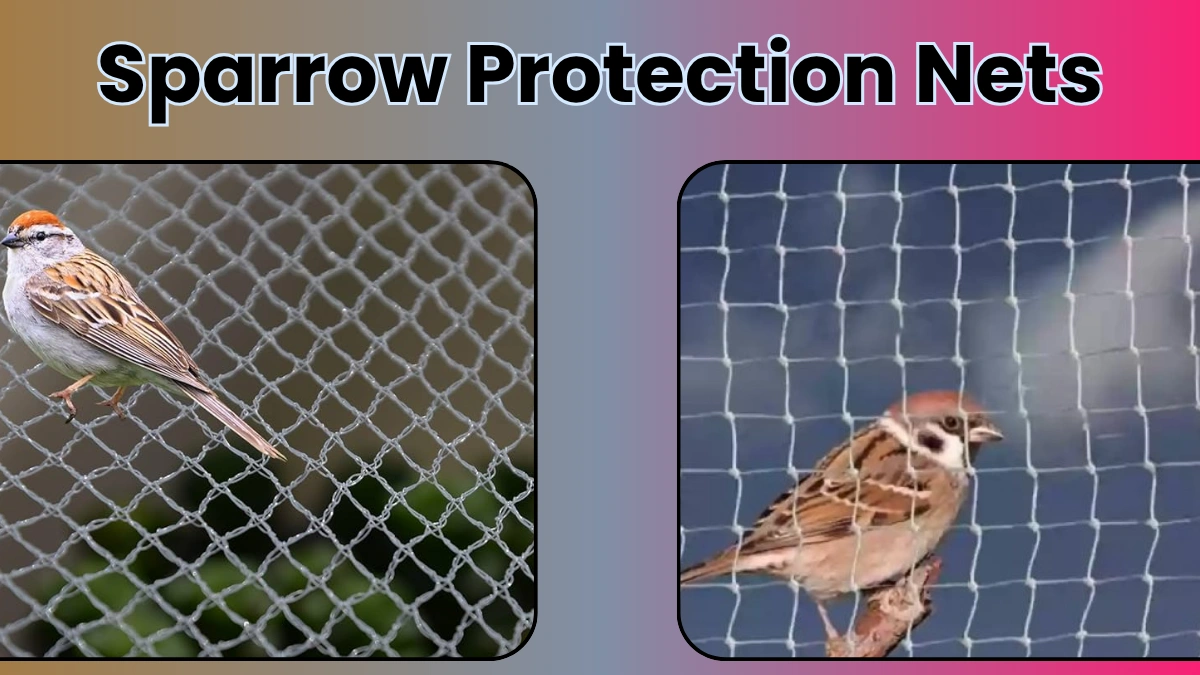 Sparrow Protection Nets